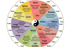 Chinese-Body-Clock