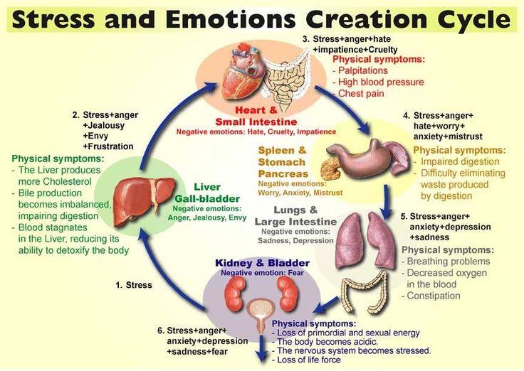 emotion cycle