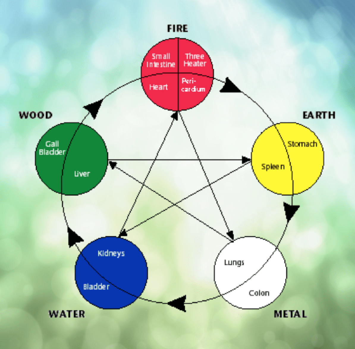 Introduction to the Chinese Five Element System