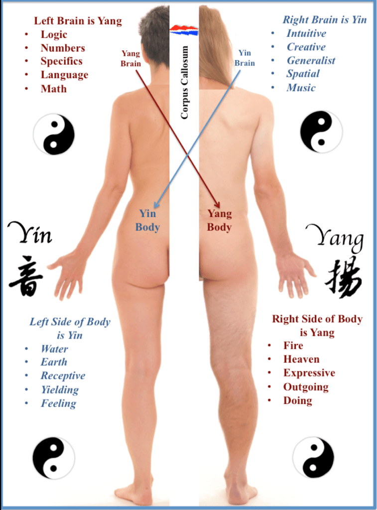 Left-Right-Brain-Body-Balancing