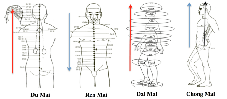 The 20 Meridians And Their Consciousness