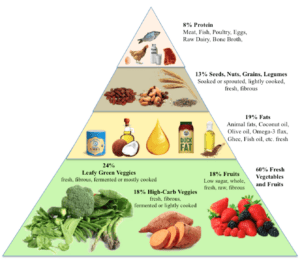 What’s the Best Diet for Humans?