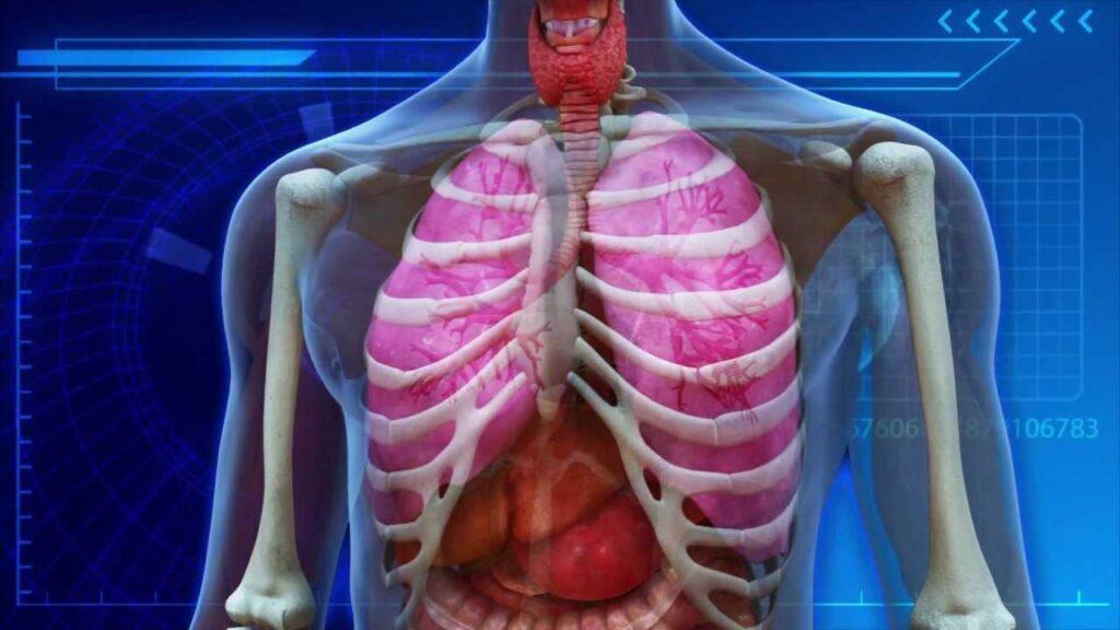 the-lung-meridian-how-to-strengthen-and-clear-it