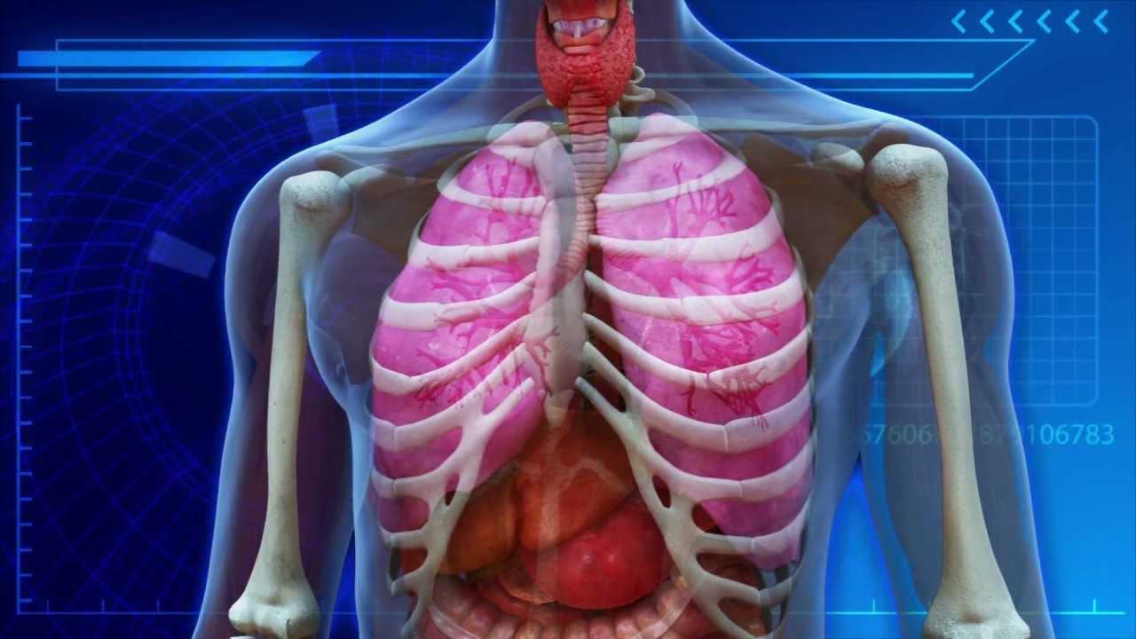 The Lung Meridian How To Strengthen And Clear It