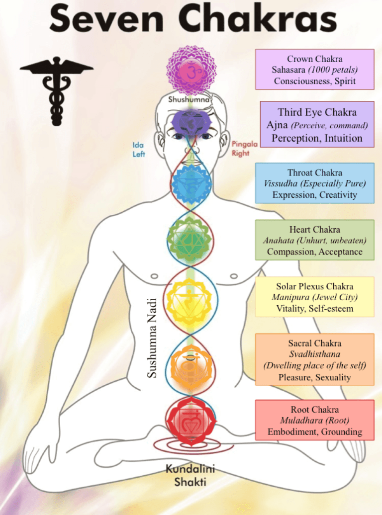 Yogic And Daoist Subtle Anatomy A Common Origin