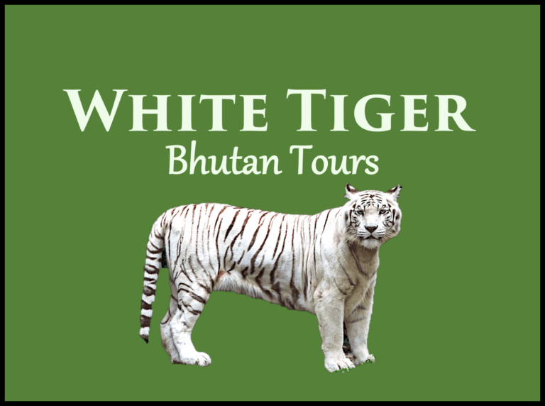 What’s the Meaning of a White Tiger?
