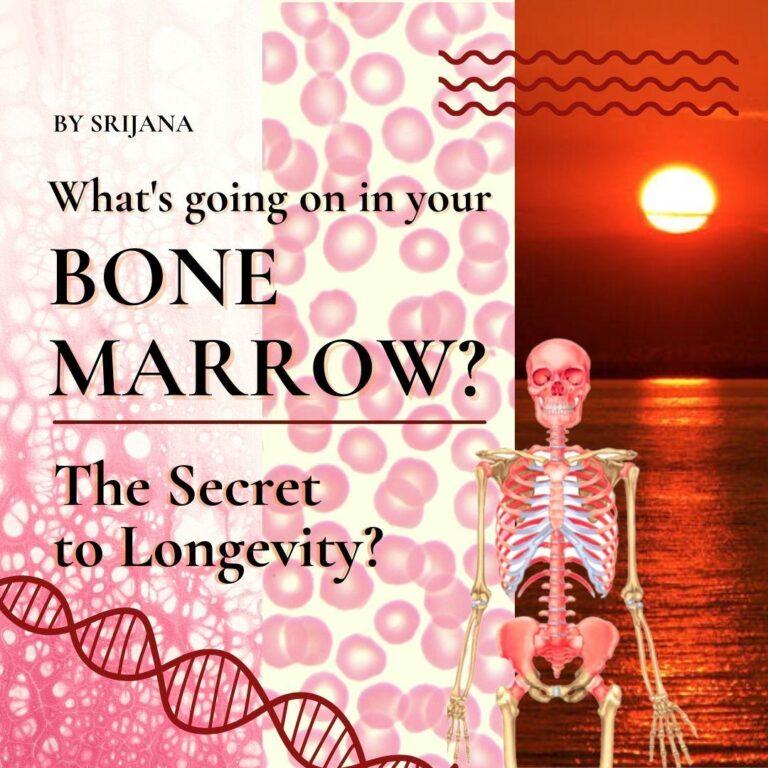 What’s Going On in Your Bone Marrow?
