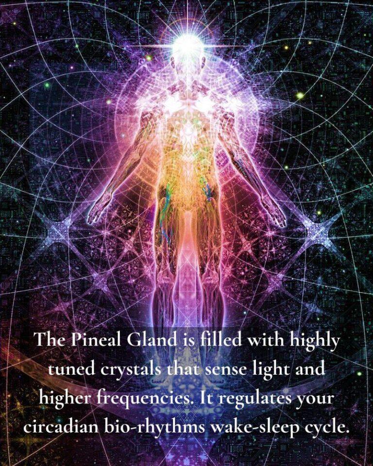 Brain Synchronization, The Pineal Gland, And The Soul